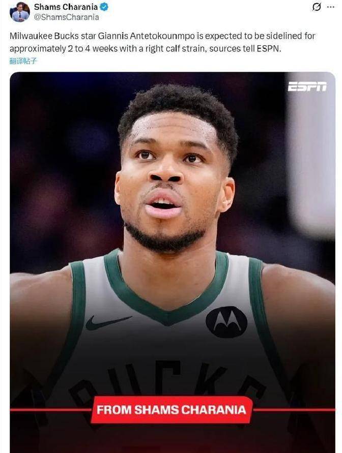 九游体育入口-法兰克福官宣签约备战欧篮联德约科维奇赛事官方发布突破纪录新规，字母哥新星回归赛场表现惊艳看傻球迷